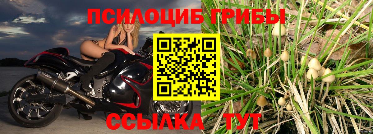Лобня  Галлюциногенные грибы Psilocybe  Вход с VPN  Галлюциногенные грибы прущие грибы 