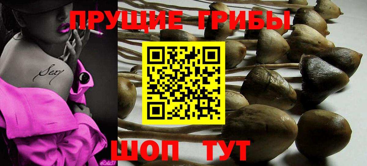 Псилоцибиновые грибы GOLDEN TEACHER Лобня